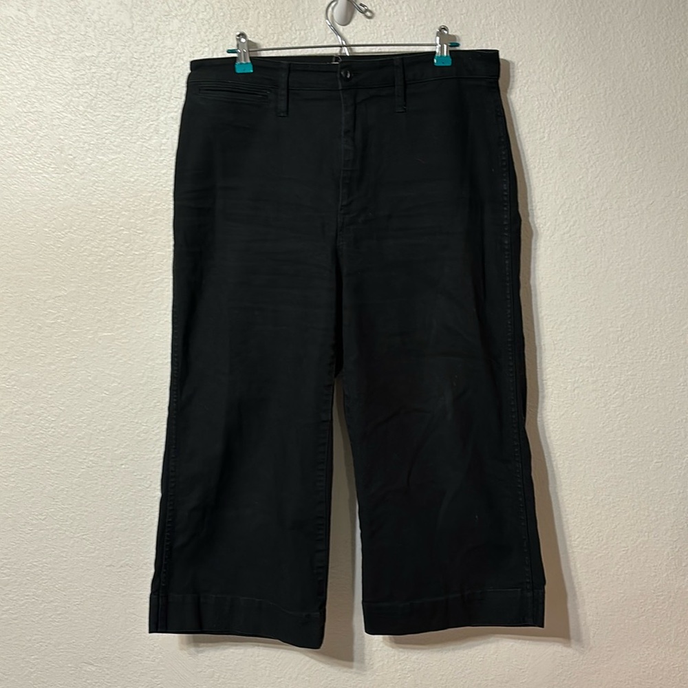 Madewell Emmett Wide Leg Crop Pants 31